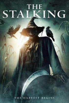 The Stalking